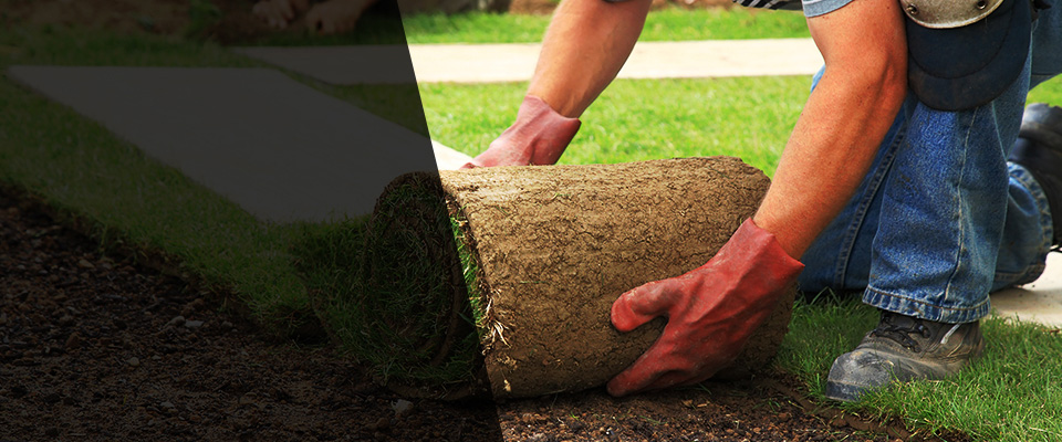 La Crescenta Landscapers